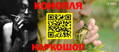 сатива Краснодар