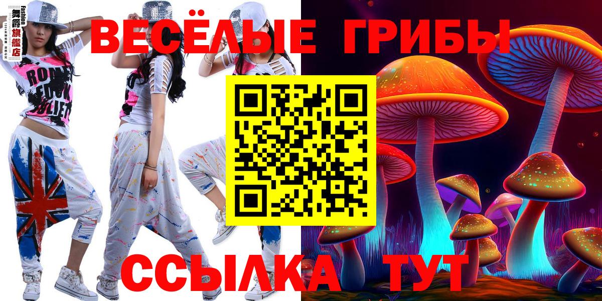 Псилоцибиновые грибы MAGIC MUSHROOMS  Вход с VPN  Балашов 